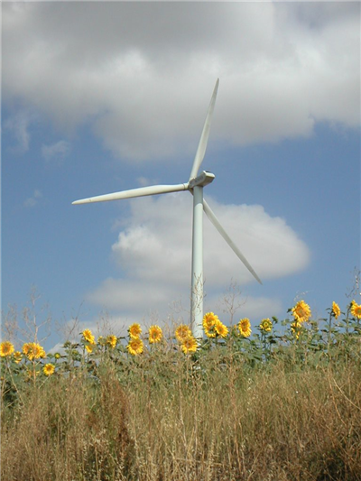 Avignonet - Lauragais - Praderie